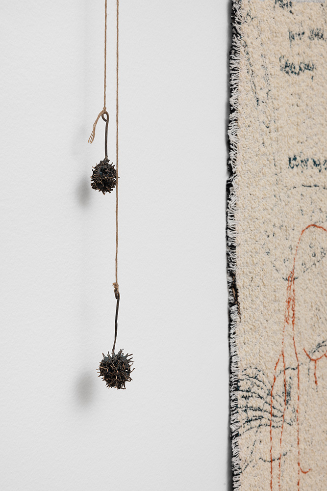 Claudia Losi, Oltre il giardino (Beyond the garden)