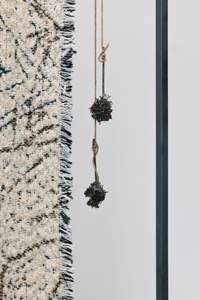 Exhibition view BEYOND THE GARDEN, Claudia Losi (detail); Gallery Stadtpark Krems, 2026; Photo: Stefan Lux
